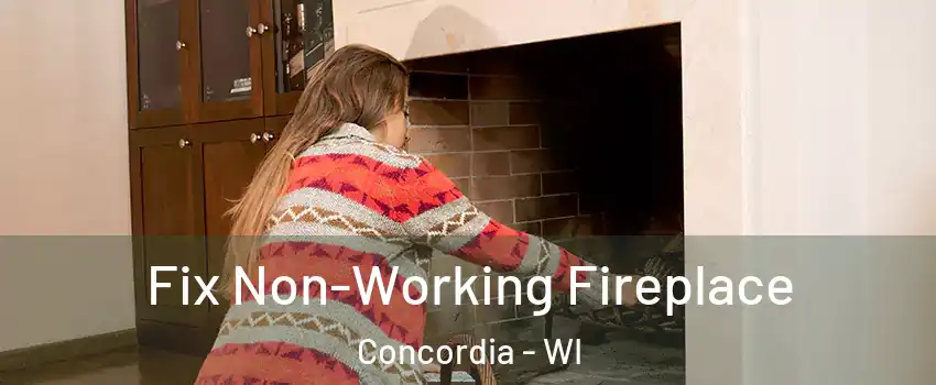 Fix Non-Working Fireplace Concordia - WI