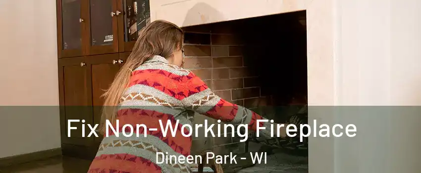 Fix Non-Working Fireplace Dineen Park - WI