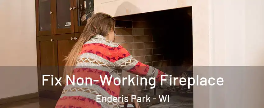 Fix Non-Working Fireplace Enderis Park - WI