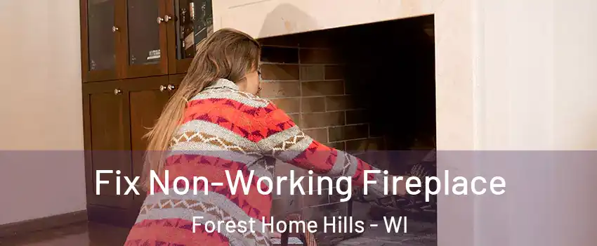 Fix Non-Working Fireplace Forest Home Hills - WI