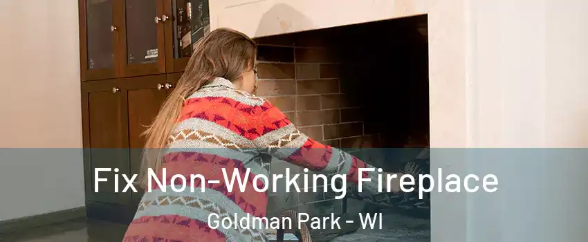 Fix Non-Working Fireplace Goldman Park - WI