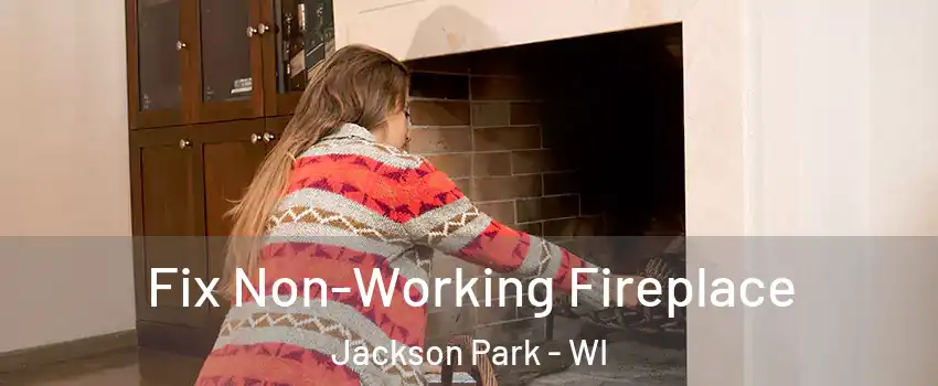 Fix Non-Working Fireplace Jackson Park - WI