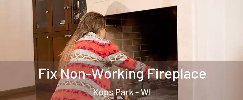 Fix Non-Working Fireplace Kops Park - WI