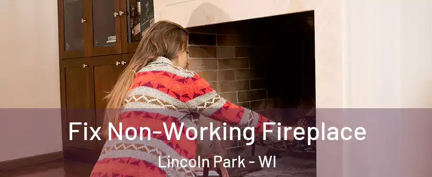 Fix Non-Working Fireplace Lincoln Park - WI