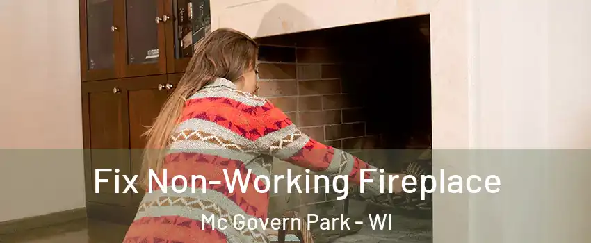 Fix Non-Working Fireplace Mc Govern Park - WI