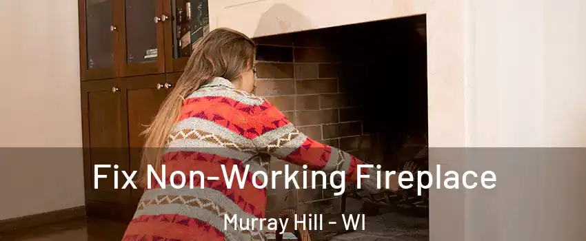 Fix Non-Working Fireplace Murray Hill - WI