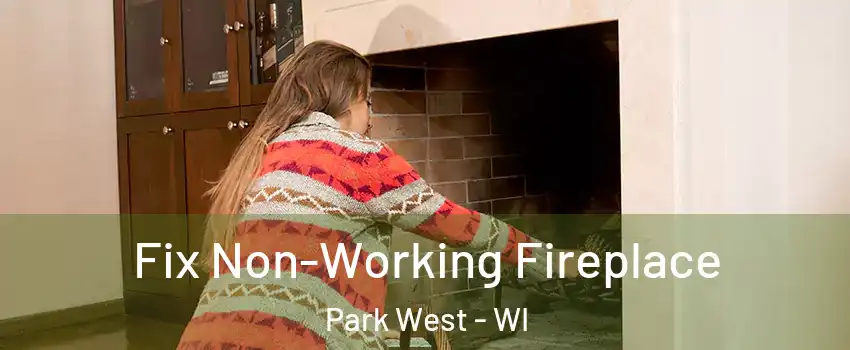 Fix Non-Working Fireplace Park West - WI