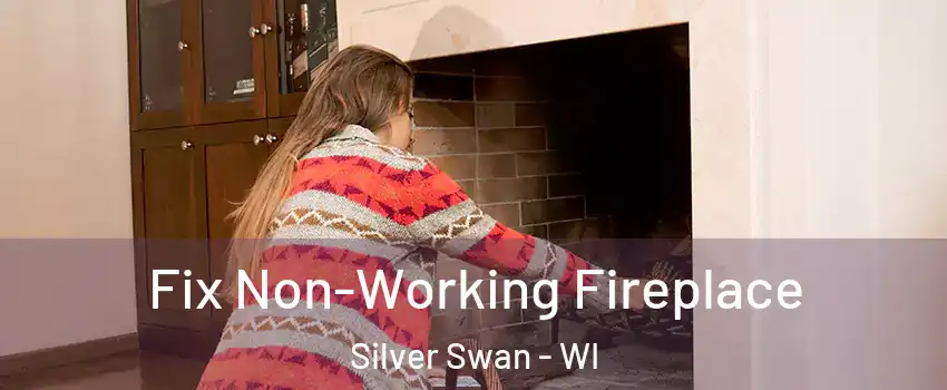 Fix Non-Working Fireplace Silver Swan - WI