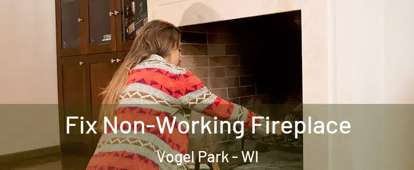 Fix Non-Working Fireplace Vogel Park - WI