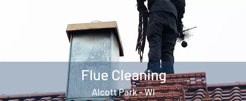 Flue Cleaning Alcott Park - WI