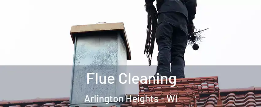 Flue Cleaning Arlington Heights - WI