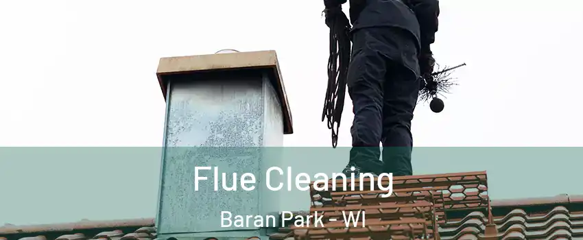 Flue Cleaning Baran Park - WI