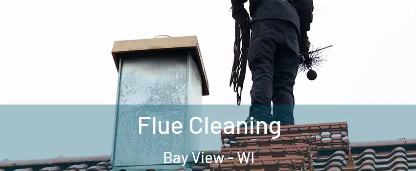 Flue Cleaning Bay View - WI