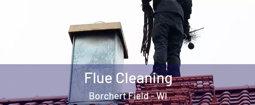 Flue Cleaning Borchert Field - WI