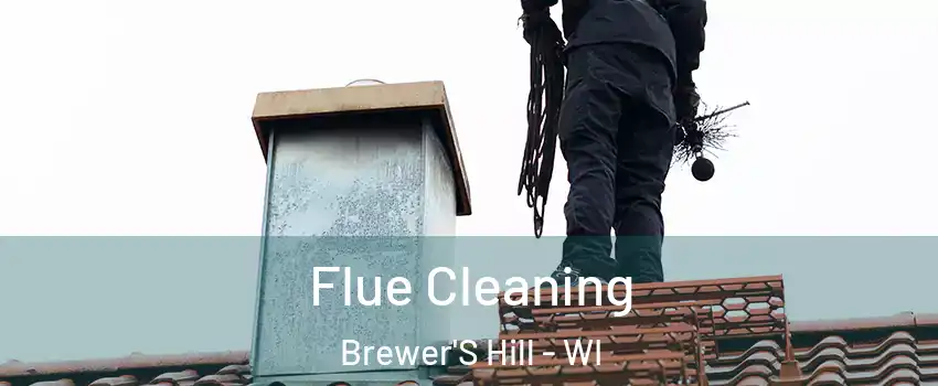 Flue Cleaning Brewer'S Hill - WI