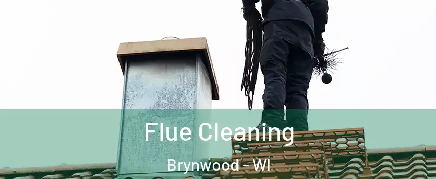 Flue Cleaning Brynwood - WI