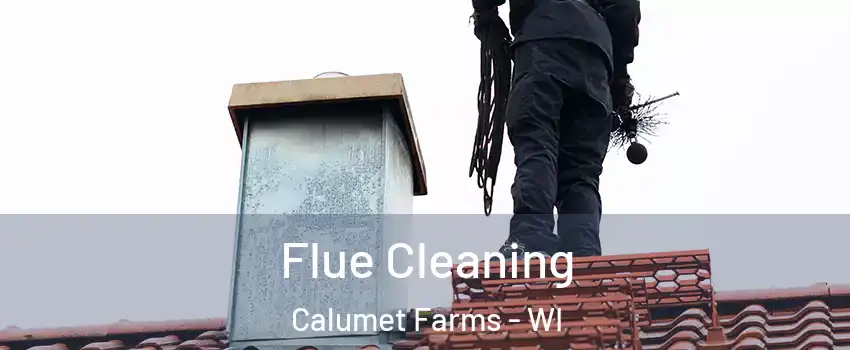 Flue Cleaning Calumet Farms - WI