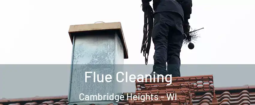 Flue Cleaning Cambridge Heights - WI