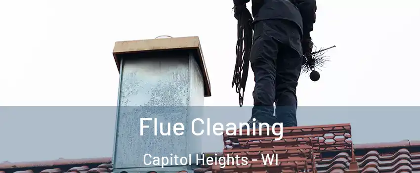 Flue Cleaning Capitol Heights - WI