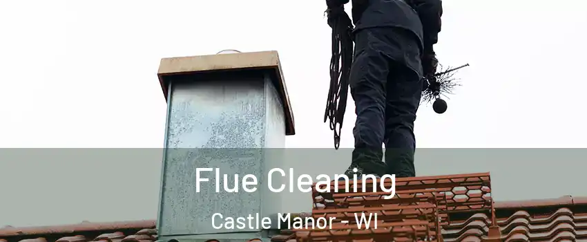 Flue Cleaning Castle Manor - WI