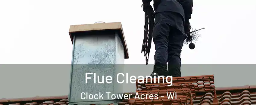 Flue Cleaning Clock Tower Acres - WI