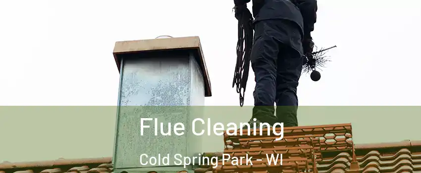 Flue Cleaning Cold Spring Park - WI