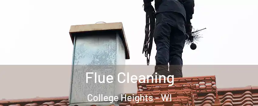 Flue Cleaning College Heights - WI