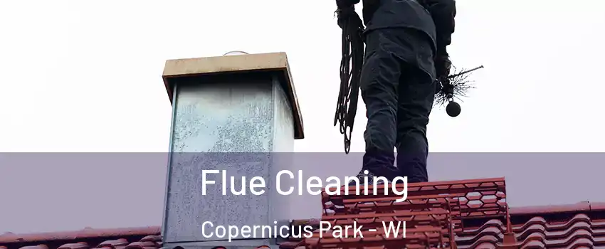 Flue Cleaning Copernicus Park - WI