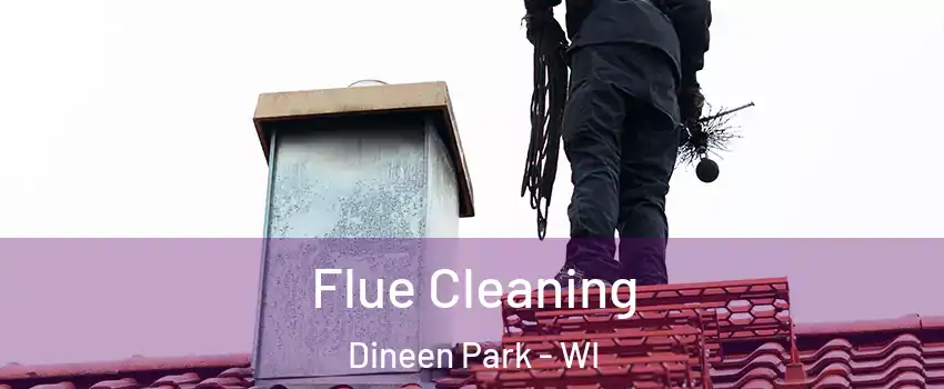 Flue Cleaning Dineen Park - WI