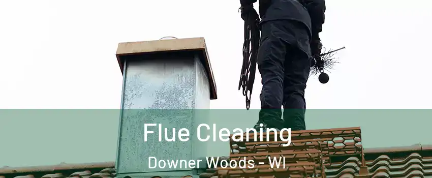 Flue Cleaning Downer Woods - WI