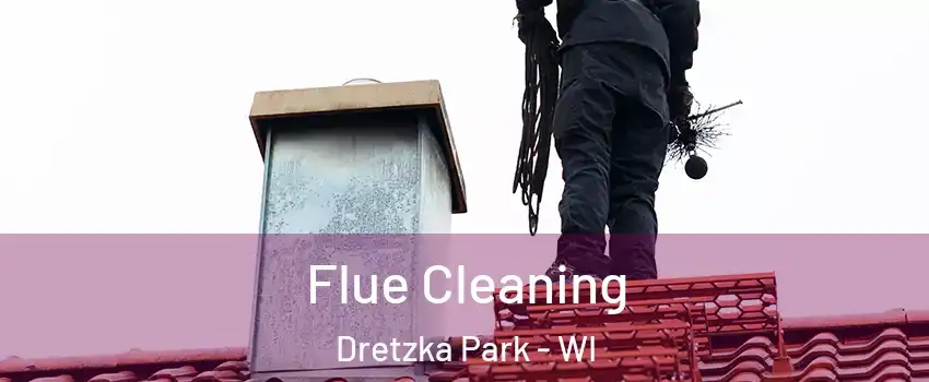 Flue Cleaning Dretzka Park - WI