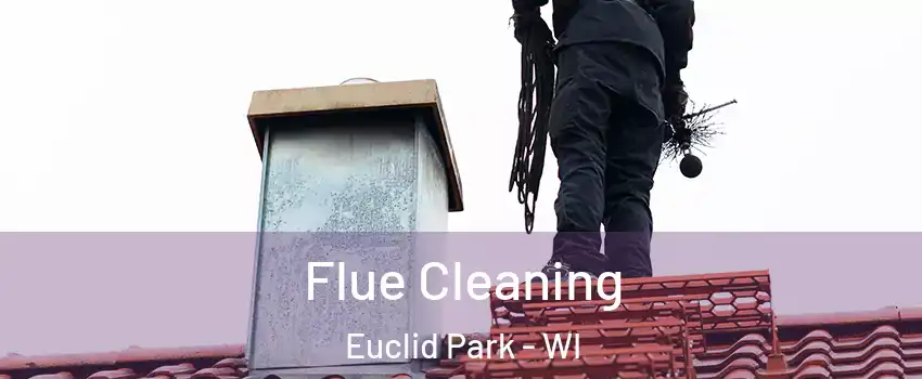 Flue Cleaning Euclid Park - WI