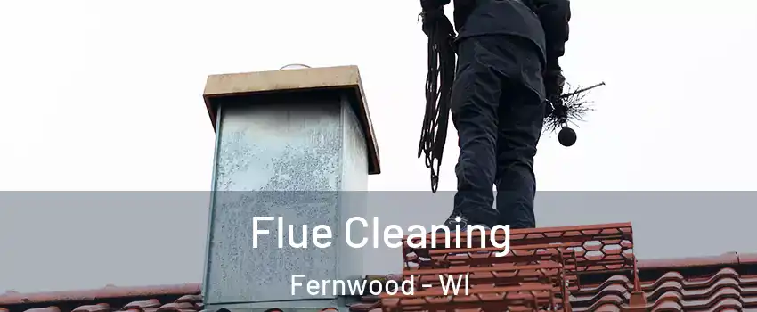 Flue Cleaning Fernwood - WI