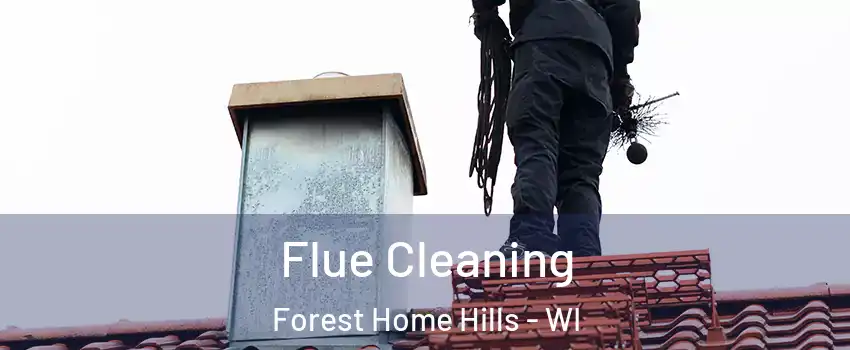 Flue Cleaning Forest Home Hills - WI