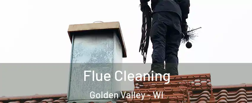 Flue Cleaning Golden Valley - WI