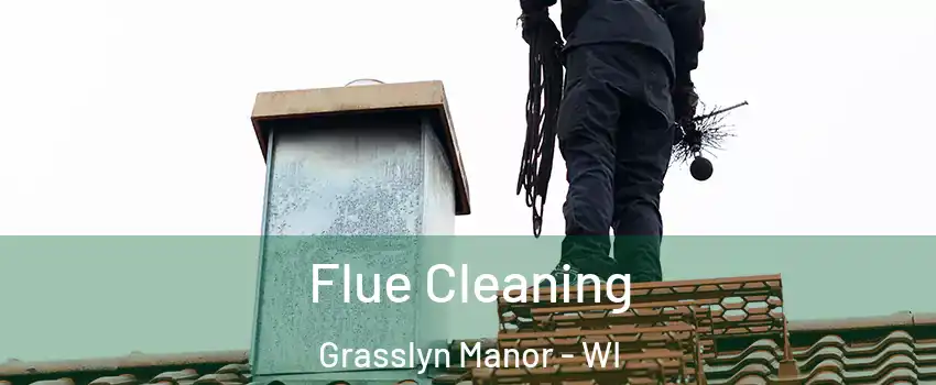 Flue Cleaning Grasslyn Manor - WI