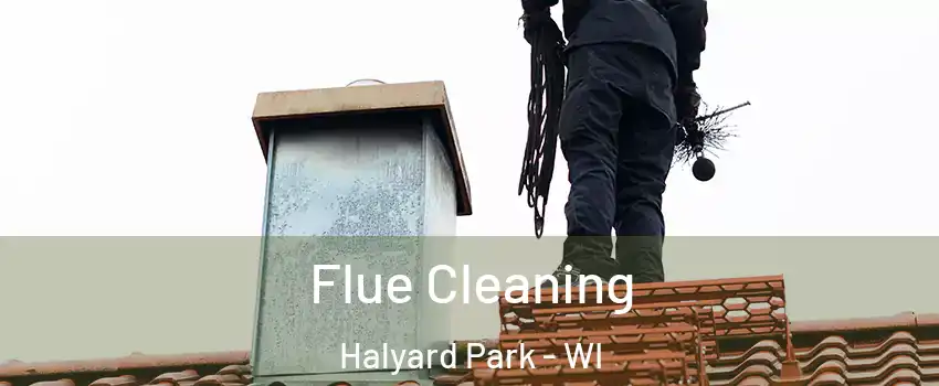 Flue Cleaning Halyard Park - WI