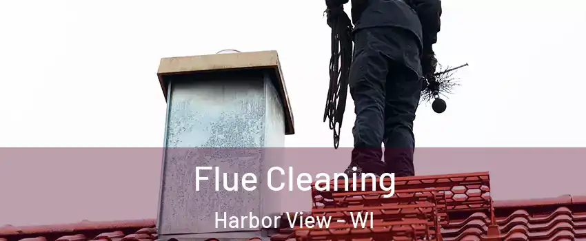 Flue Cleaning Harbor View - WI