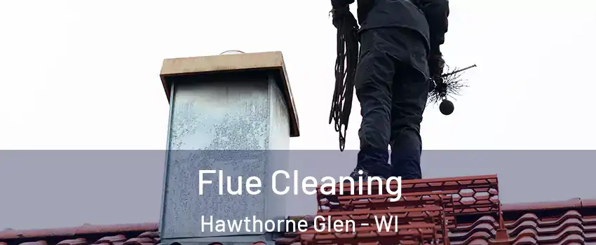 Flue Cleaning Hawthorne Glen - WI