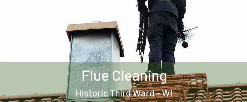 Flue Cleaning Historic Third Ward - WI