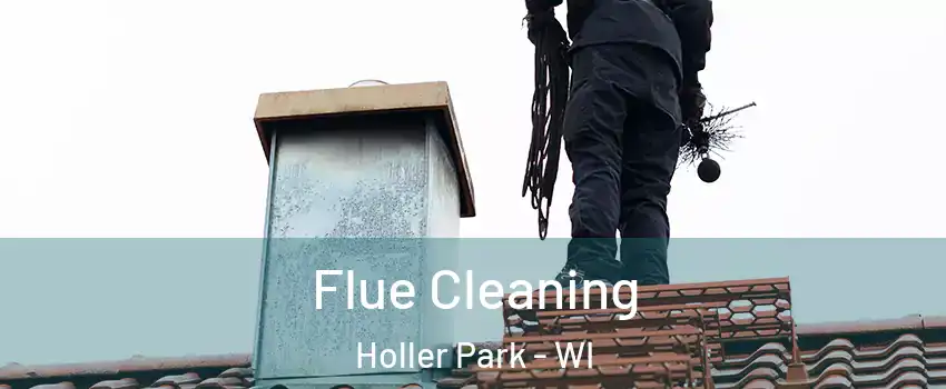 Flue Cleaning Holler Park - WI