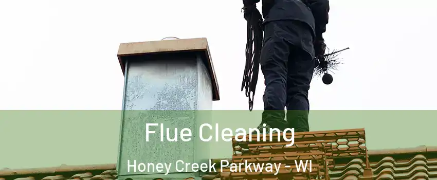 Flue Cleaning Honey Creek Parkway - WI