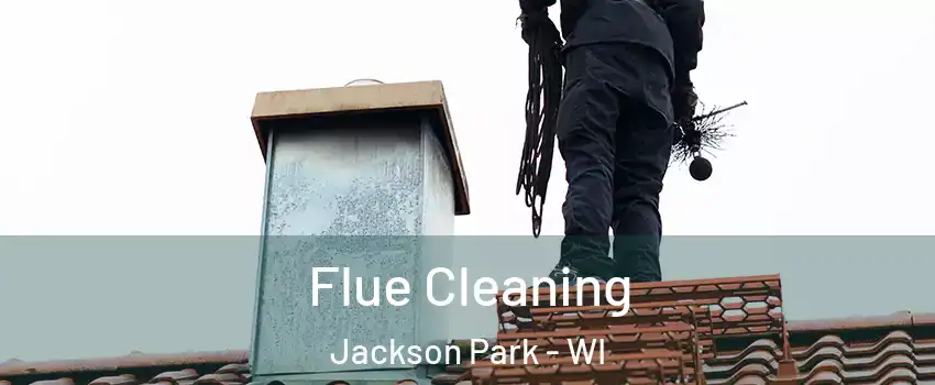 Flue Cleaning Jackson Park - WI