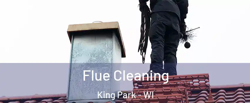 Flue Cleaning King Park - WI