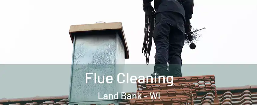 Flue Cleaning Land Bank - WI