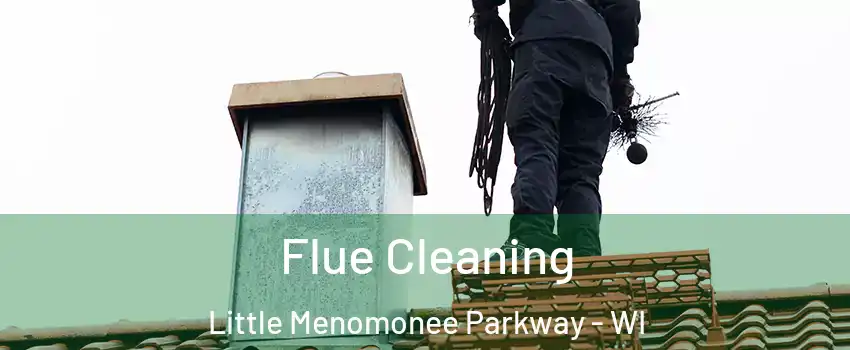 Flue Cleaning Little Menomonee Parkway - WI