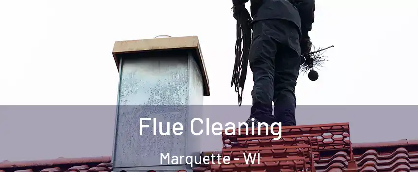 Flue Cleaning Marquette - WI