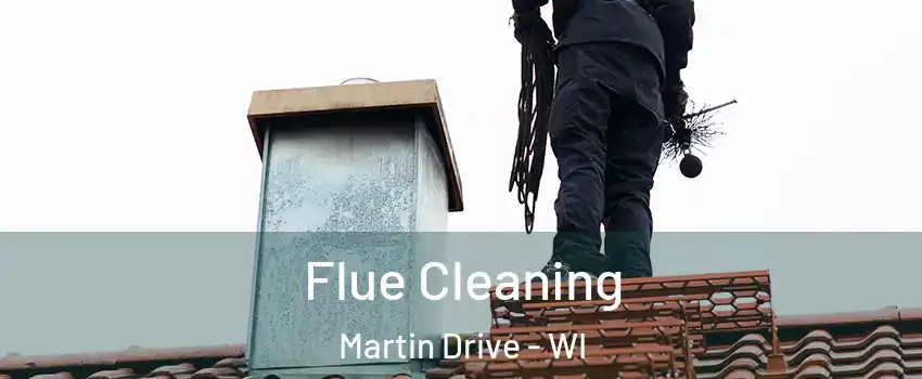 Flue Cleaning Martin Drive - WI