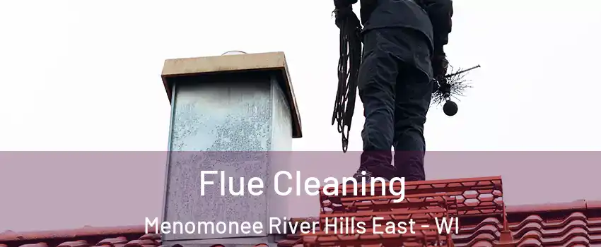 Flue Cleaning Menomonee River Hills East - WI