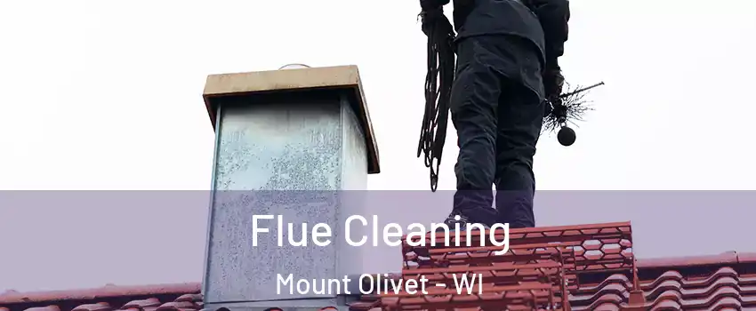 Flue Cleaning Mount Olivet - WI